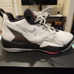 Jordan Nike Zoom