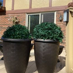 Very  Gorgeous 2 Pots Large  It’s not include the plant