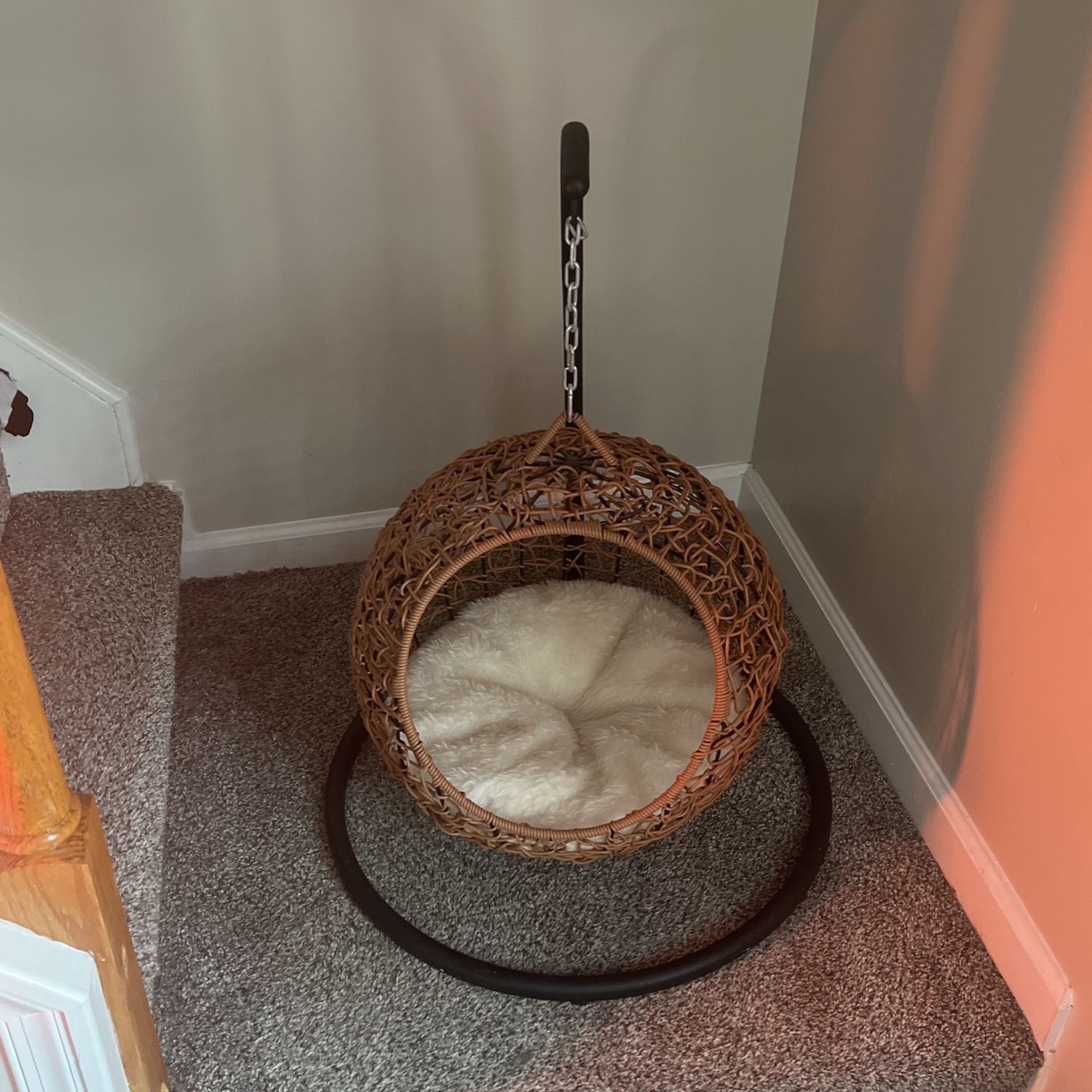 Hanging Cat Bed