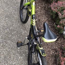 Trek Bike