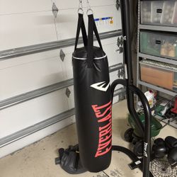 Everlast punching  bag with stand