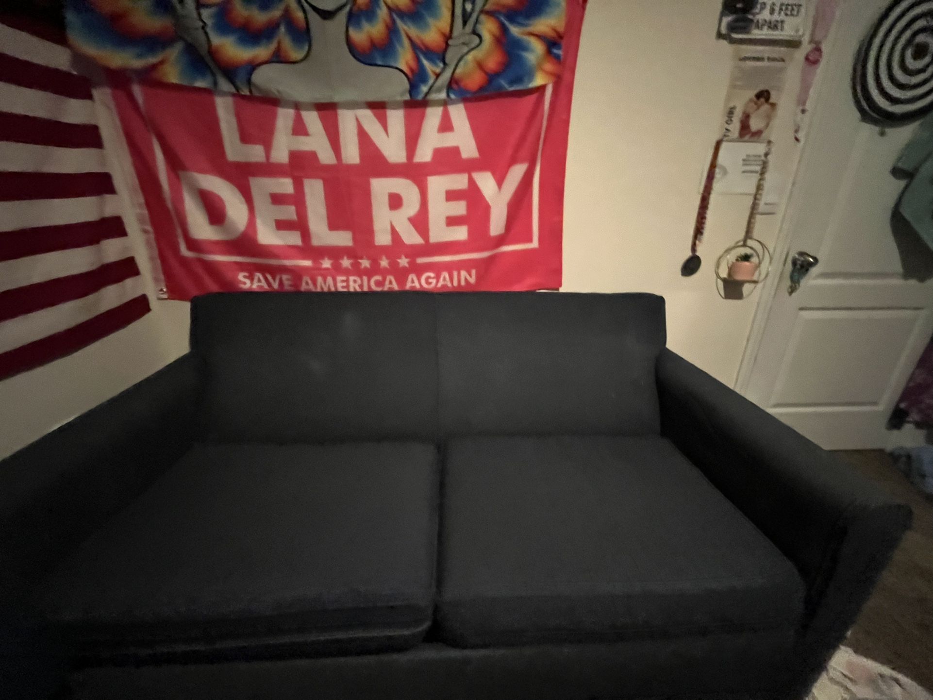 Pull Out 2 Seater Couch
