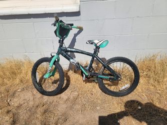 Surge Dynacraft kids bike