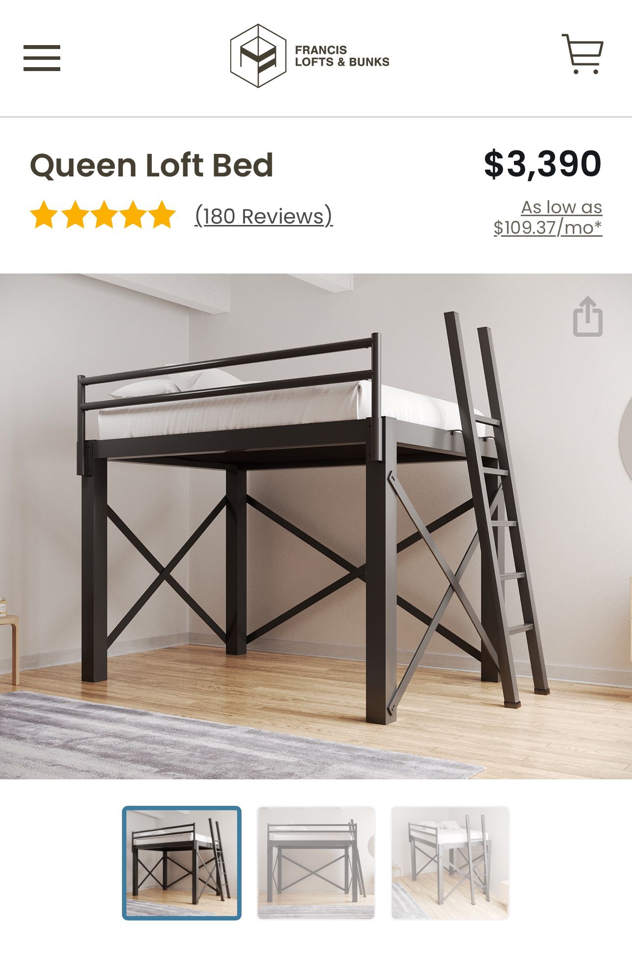 Modern Queen Loft Bed Frame, Aluminum