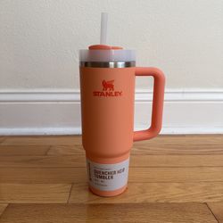 NEW - 30 Oz Stanley Water Bottle Insulated Cup Quencher Tumblr