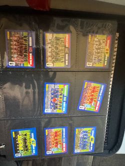 Panini stickers