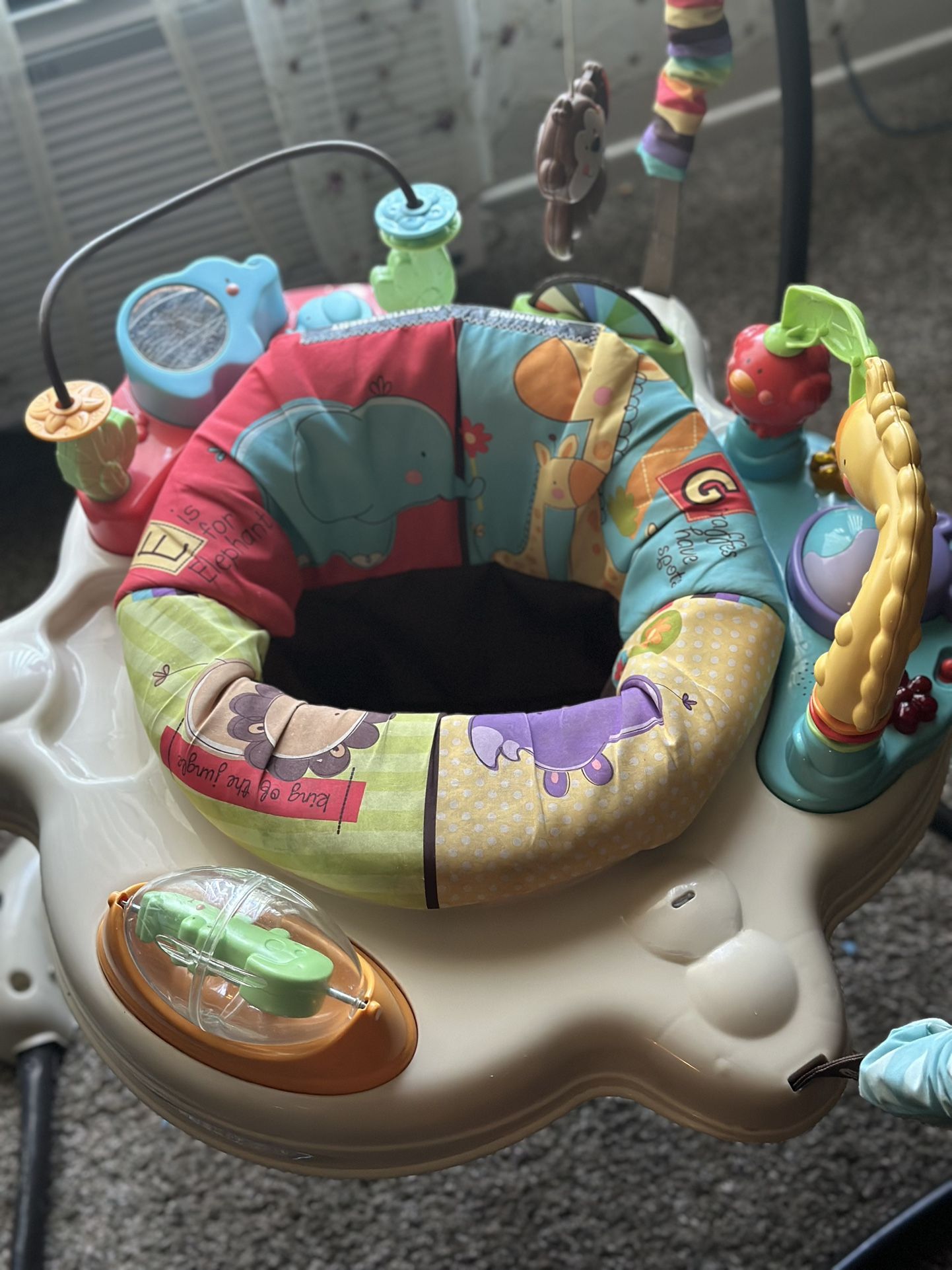 Fisher-Price Baby Bouncer Jumperoo with Music Lights Sounds