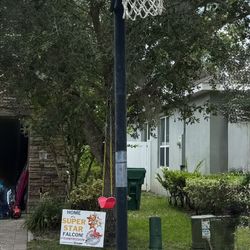 Roller Blades And Basketball Hoop