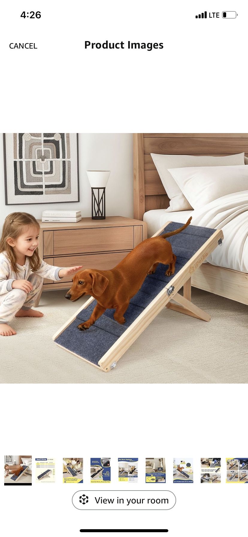 Dog Ramp 