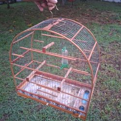 Bird Cages 