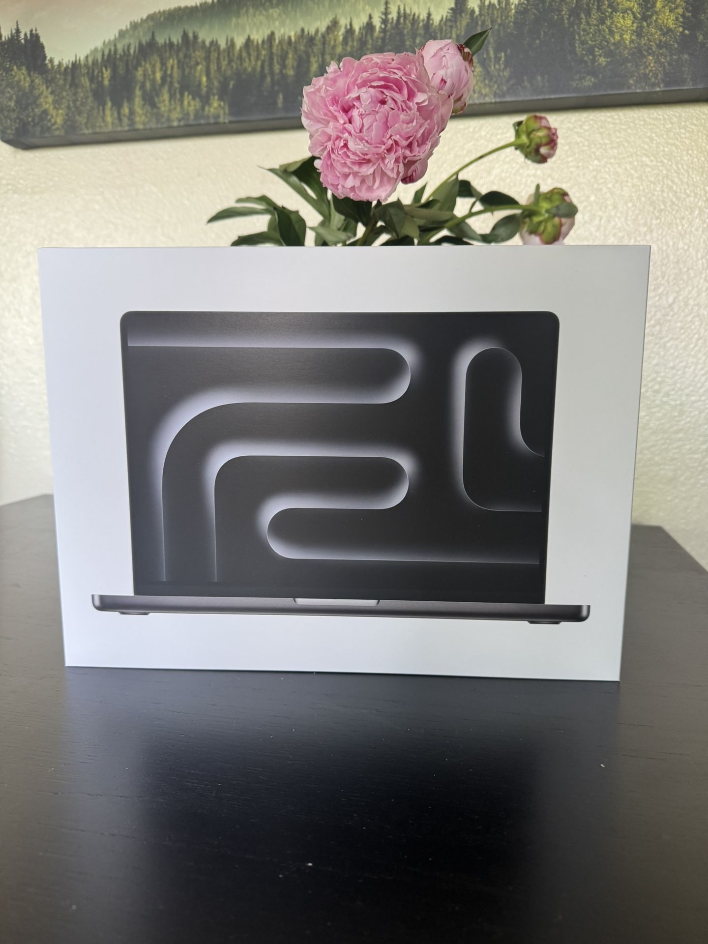 New M4 MacBook Pro 14