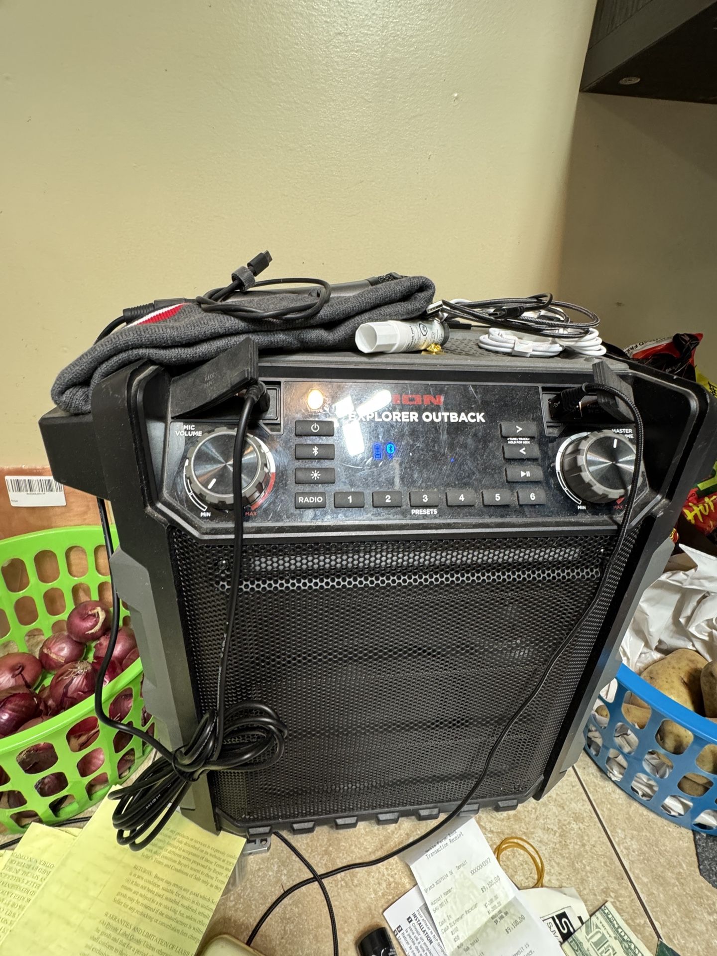 Explorer Outdoor Speaker