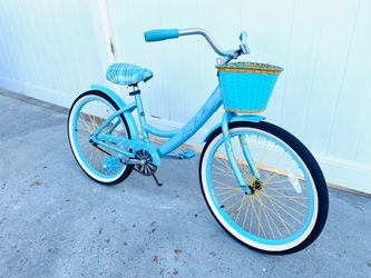 Beach cruiser 24 inch