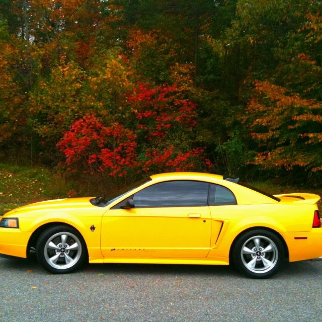2002 Ford Mustang