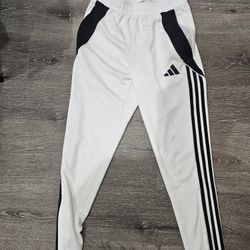 Adidas Pants