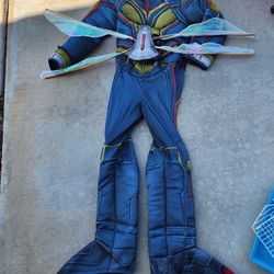 Marvel Halloween Costume