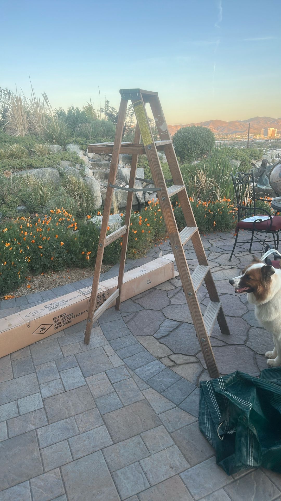 Wooden ladder