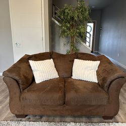 Two Brown Sofas 
