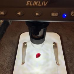 Transparent..Red..Ruby. Excellent..9ct..pear