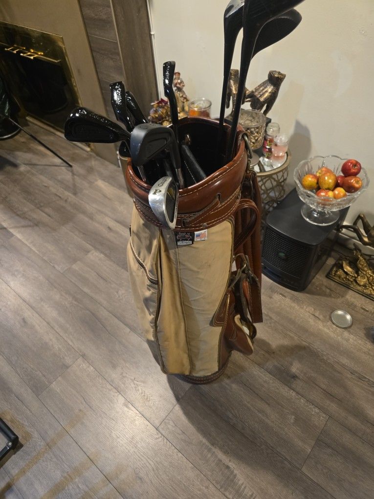 10 GOLF CLUBS WITH GOLF BAG 