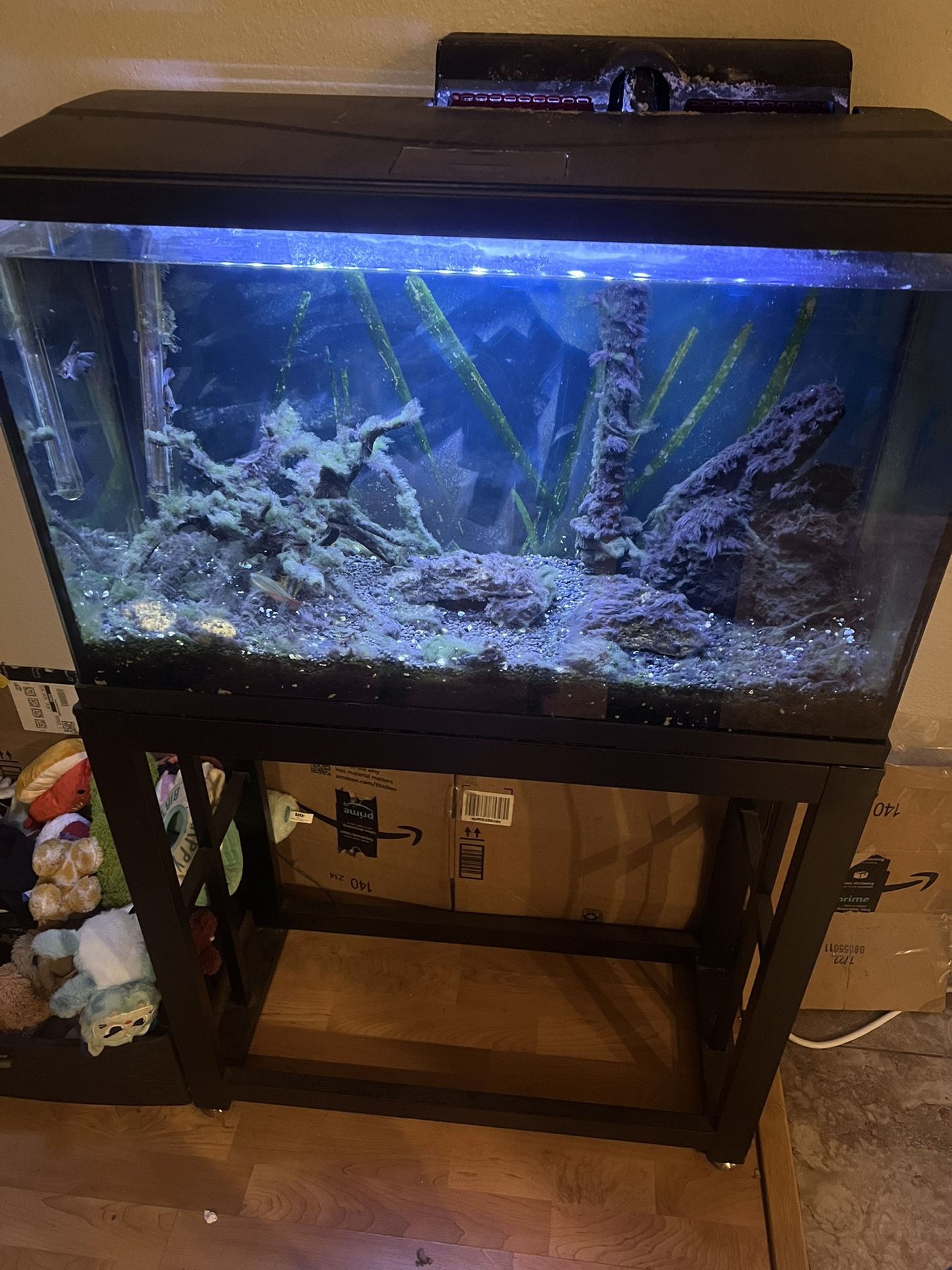 Fish Tank