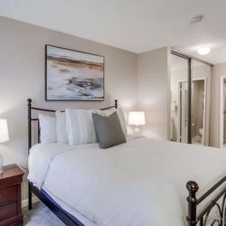 Queen Bed Frame, Box Spring, And Mattress 