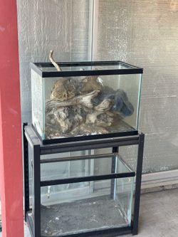20 gallon fish tanks