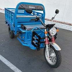 Electric Bike Cargo 