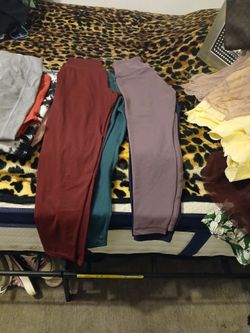 Brand name pants 20 pants