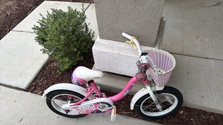 Chipmunk bike
