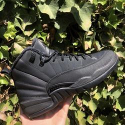 Jordan 12s , Size 12 , Wore 3 Times Total 