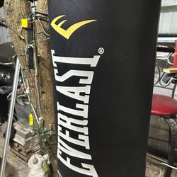 Everlast Pomching Bag 