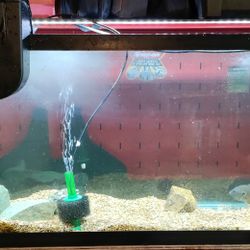 55 Gallon Fish Tank Aquarium 