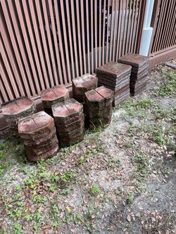 Pavers 12x12 and Firepit edgers