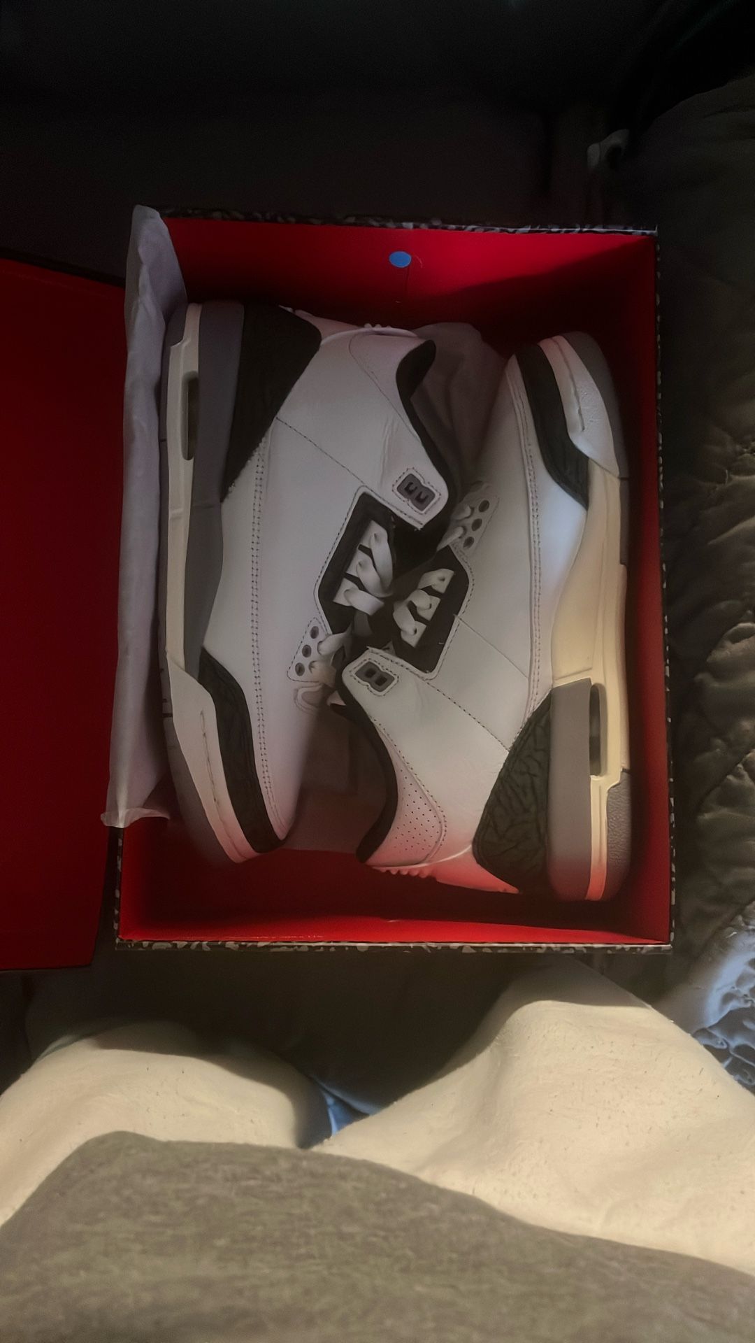 jordan 3s