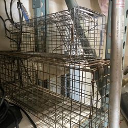 Small Critter Cages 