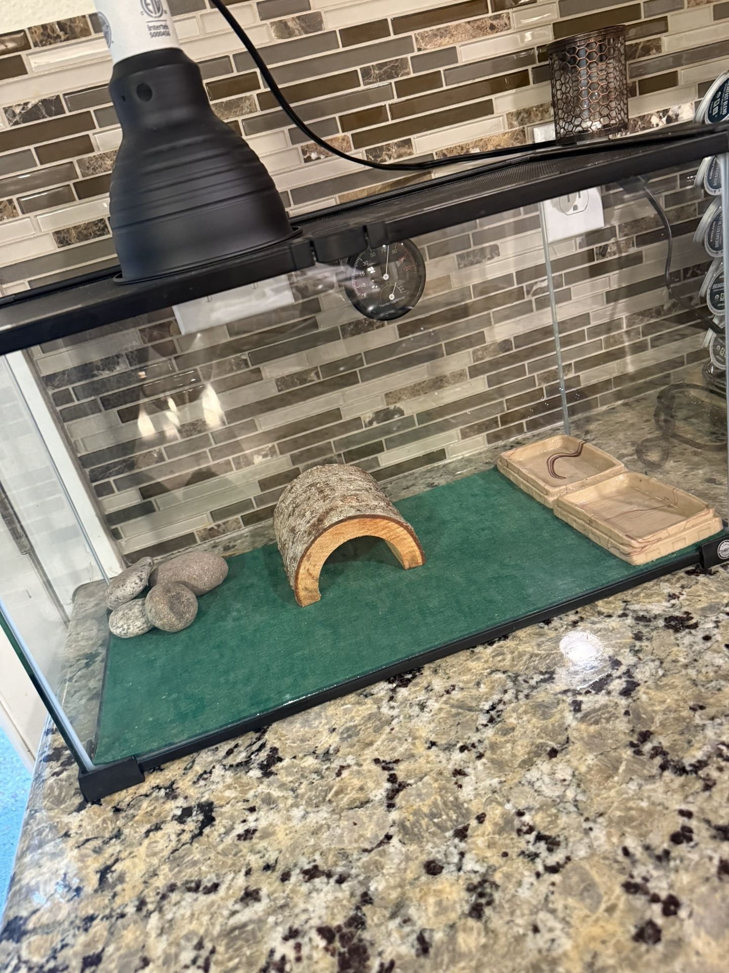 Reptile Terrarium / Aquarium / 10 gallon