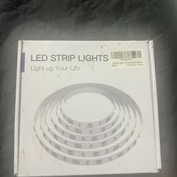 NEW 50ft LED Lights 