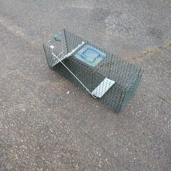 Cage Trap