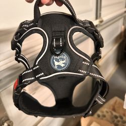 Dog Harness