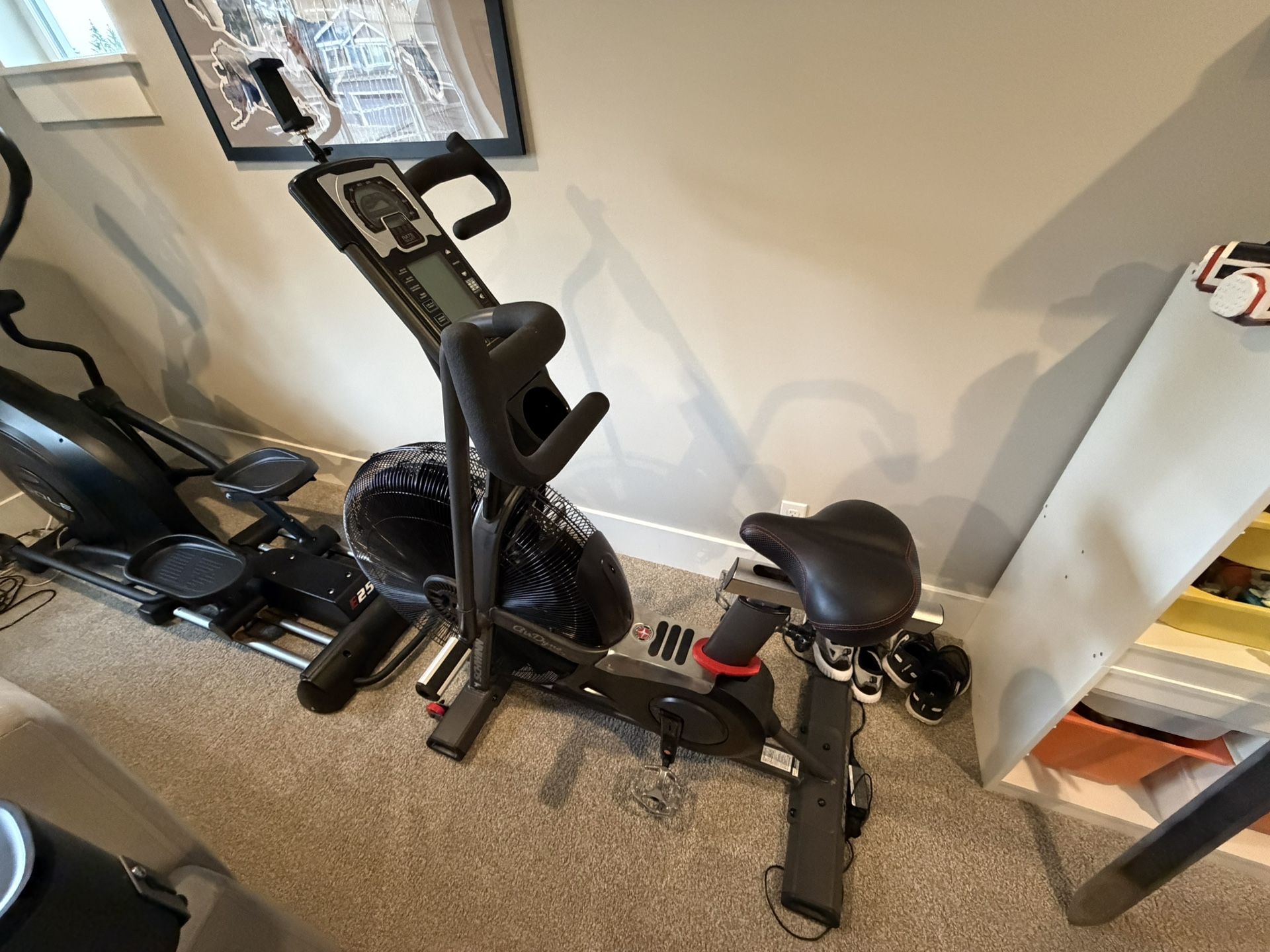 Schwinn Airdyne AD7 Air bike