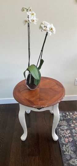 Solid Wood Table