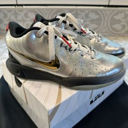 LEBRON XXI SE GS  Nike Basketball Shoes, Size 5