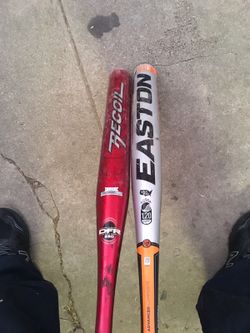 Bats