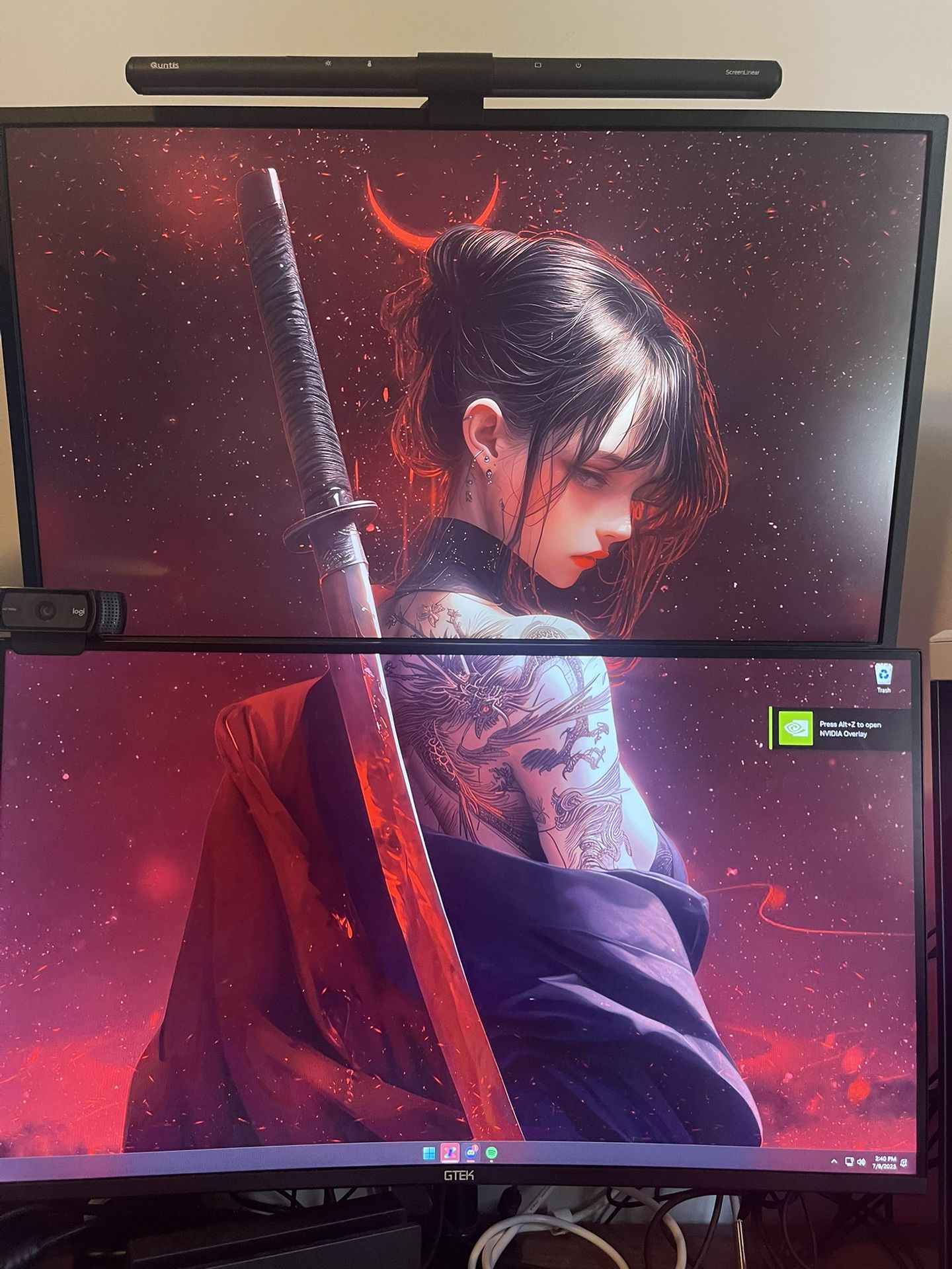 2 Monitors With Mount