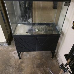 20 Gallon Aquarium With Stand 