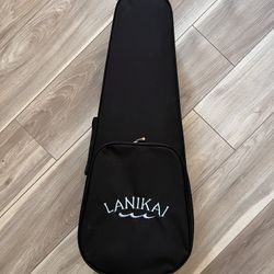 Ukulele Case