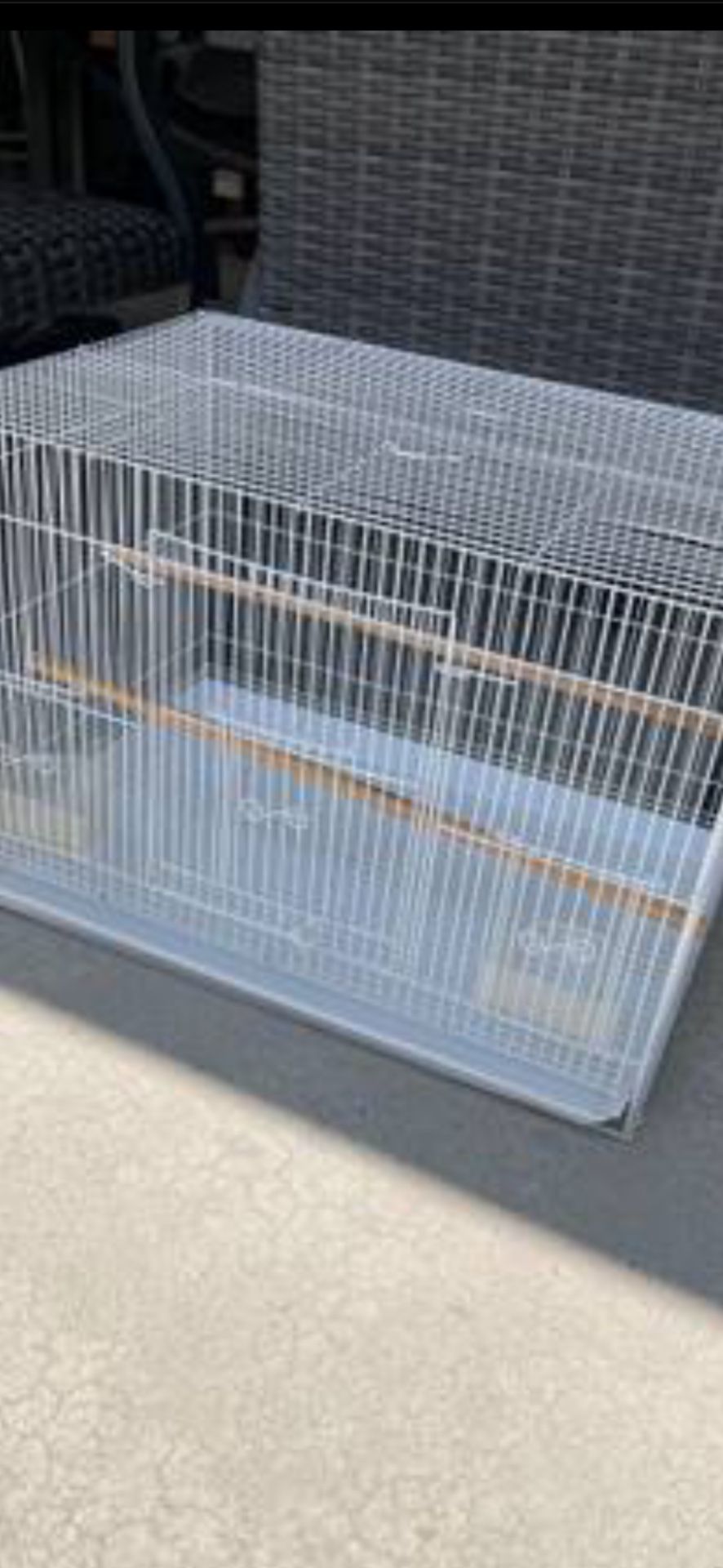 Bird Cage