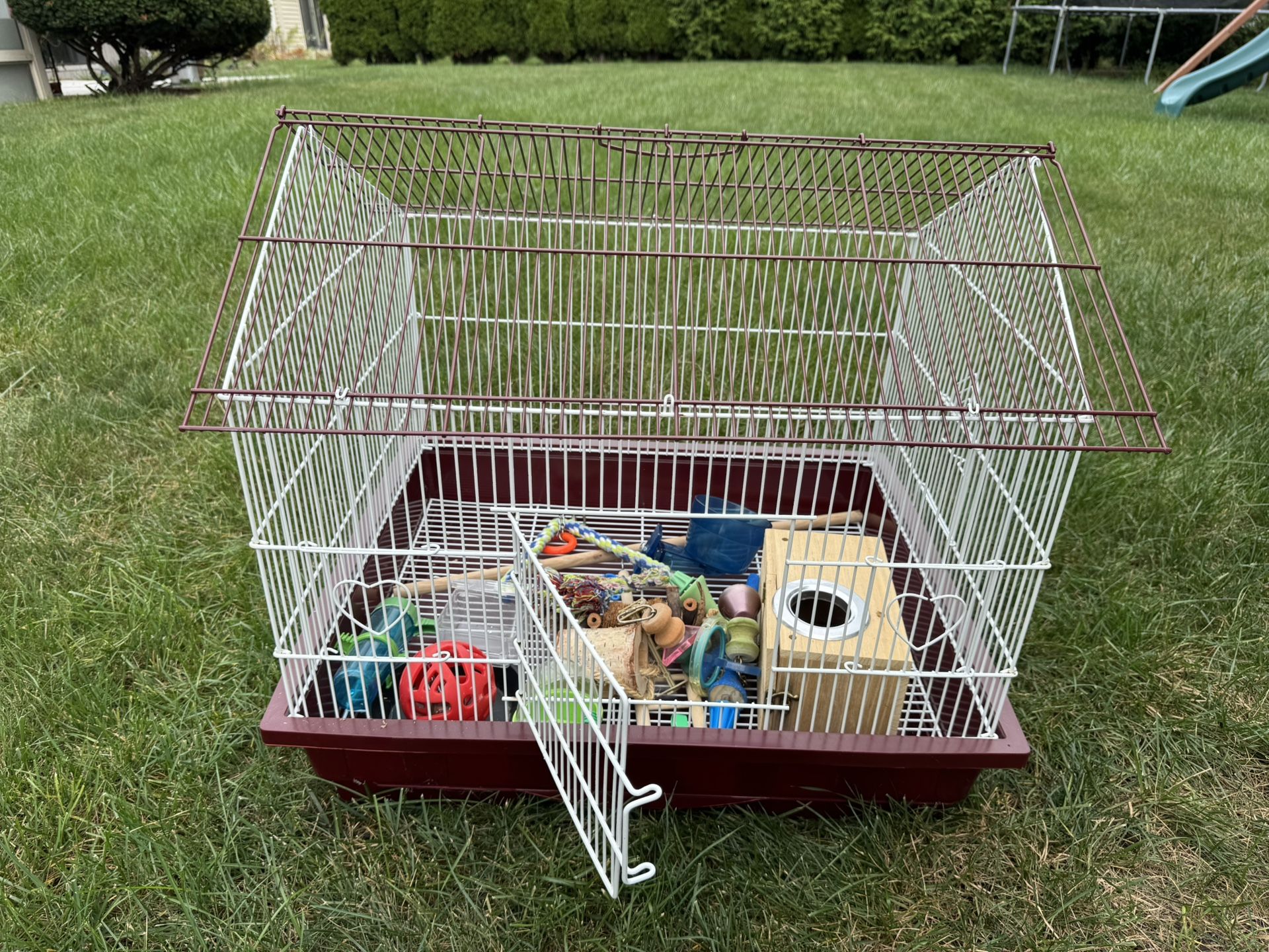 Bird Cage