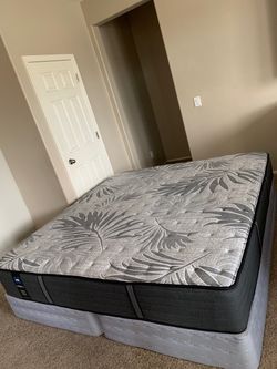 KING SEALY MATTRESS AND FREE BOX SPRINGS